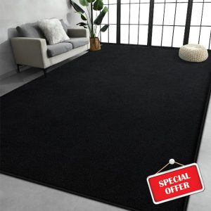 Large Area Rugs for Living Room Bedroom
