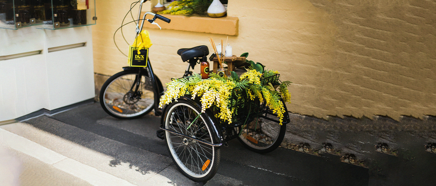 Fridgestea Tricycle