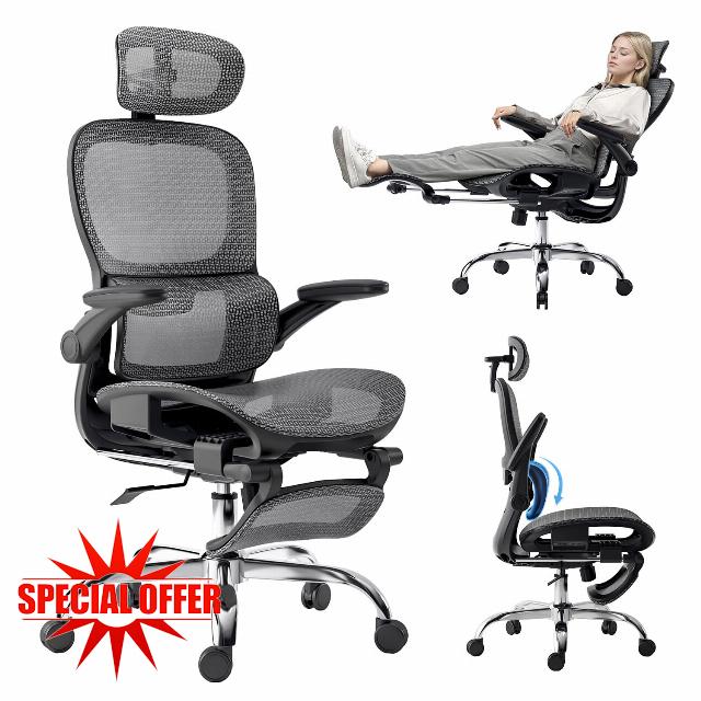 Ergonomic Office Chair
