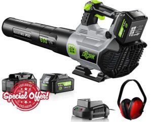 Leaf Blower Cordless