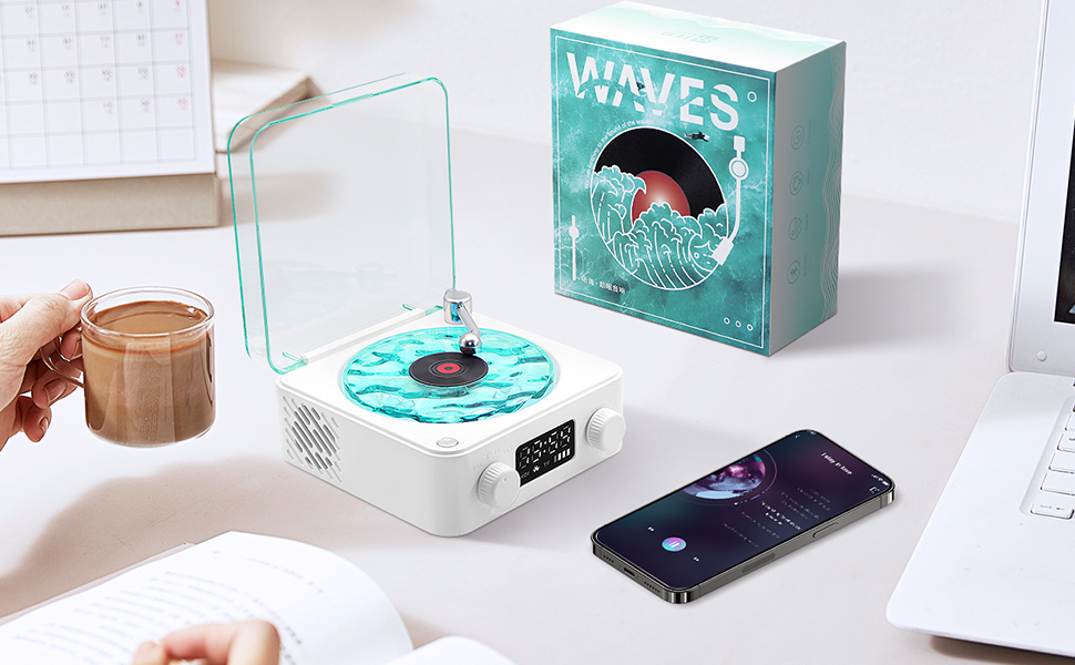 The Waves Vinyl Record Player