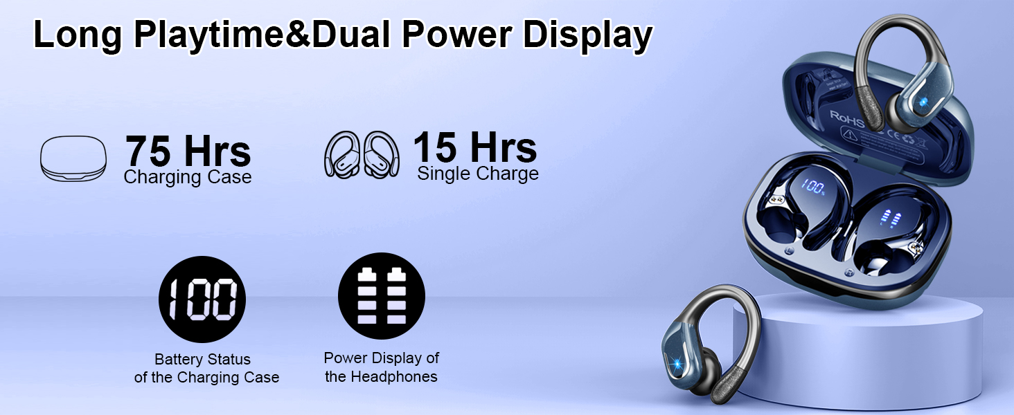 ear buds wireless earbuds