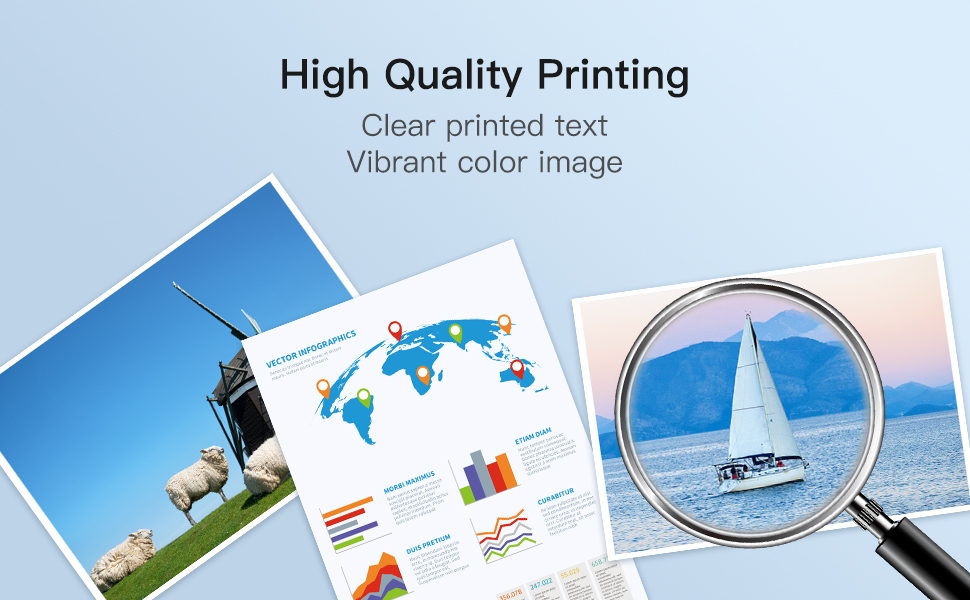 550 551XL Ink Cartridges