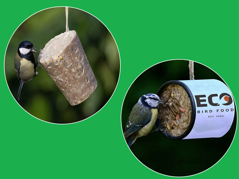 hanging wooden bird feeder and eco bird food