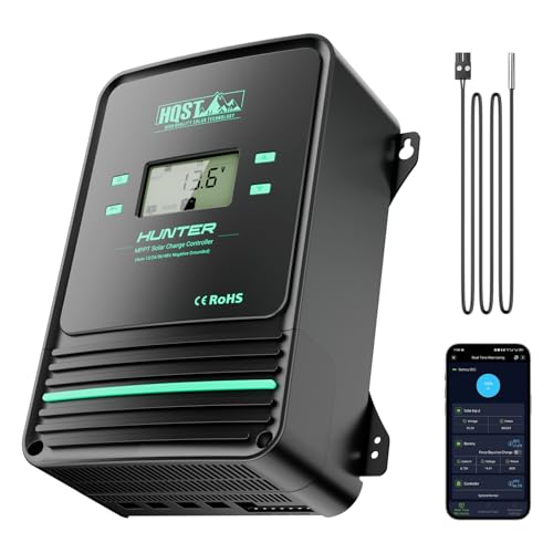 12V/24V/36V/48V Negative Grounding Controller