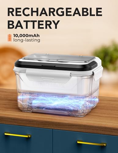 5.5 Cups Large Self Heating Lunch Box Cordless with Removable Tray Divider