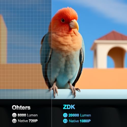 Full HD 1080P