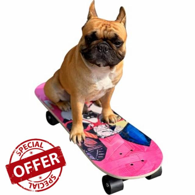 Skateboard