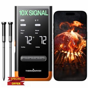 Wireless Bluetooth Smart Meat Thermometer: Standalone Base