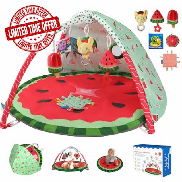 Baby Gym Play Mat