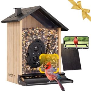 AI Identify Bird Species