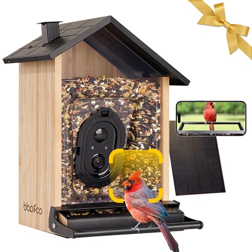 AI Identify Bird Species