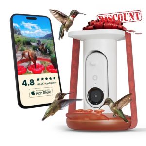 BIRD BUDDY® Solar Hummingbird Feeder with Camera - AI Hummingbird Identification