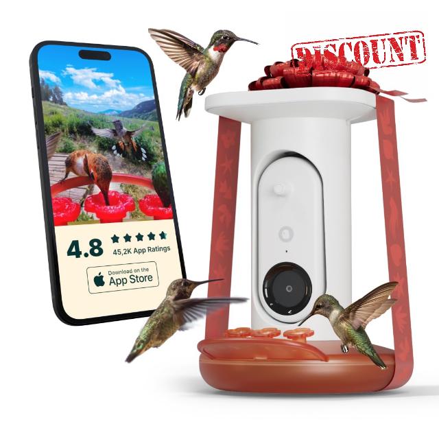 BIRD BUDDY® Solar Hummingbird Feeder with Camera - AI Hummingbird Identification