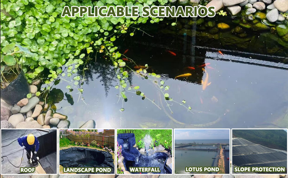 Pond Membrane