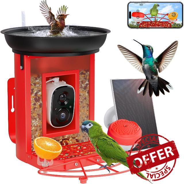 Bird Feeder Camera with Bathtub