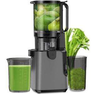 Cold Press Juicer