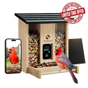 Bird Feeder with Camera