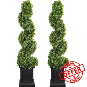 Boxwood Outdoor Topiary Set of 2