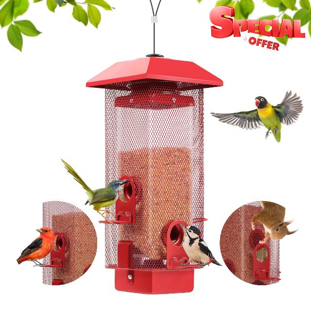 Metal Bird Feeder for Wild Birds