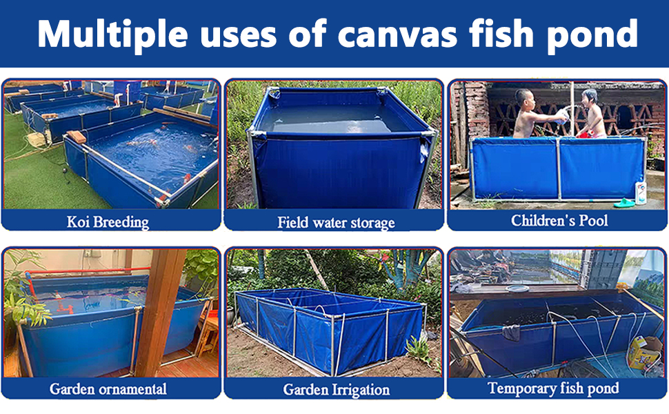 Fish Pond Canvas