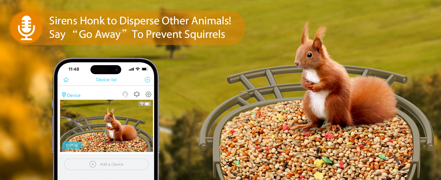 smart bird feeder