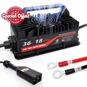 18 Amp 36 Volt Golf Cart Battery Charger for EZGO TXT Golf Carts with 2-pin D Style Plug & O-Type Terminal