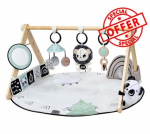 Tiny Love Luxe Developmental Gymini – Black & White Décor Collection