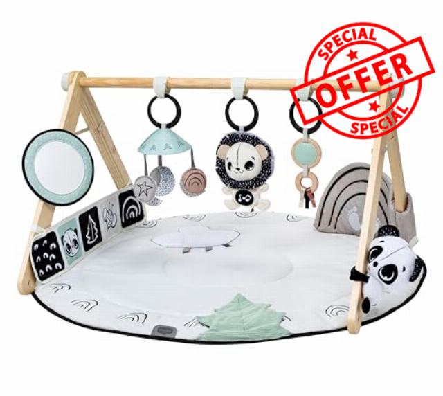 Tiny Love Luxe Developmental Gymini – Black & White Décor Collection