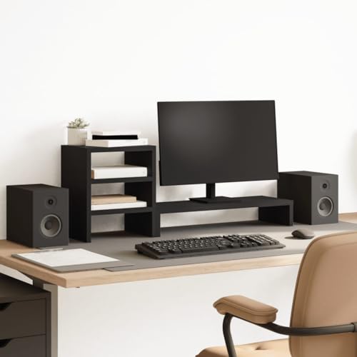 monitor riser
