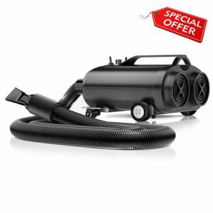 Car Dryer Air Blower