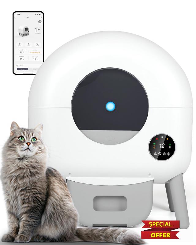 Self Cleaning Litter Box