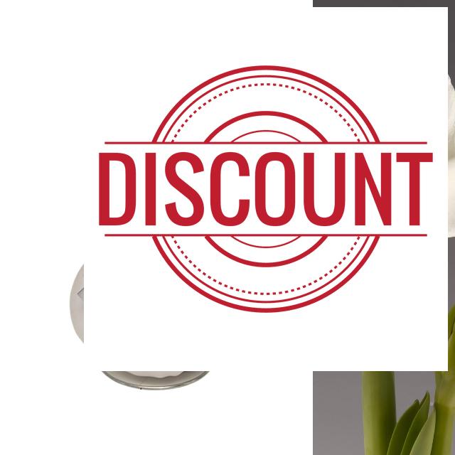Carbeth Plants - Amaryllis White Waxed Bulb Live Houseplant in Gift Sleeve - No Water Indoor Flowering Hippeastrum Growing Bulb - Christmas Gardening Gift Idea for Plant Lovers (White Wax)
