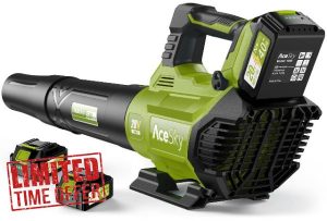 Leaf Blower Cordless - 580CFM/160MPH & 3 Speed Levels Electric Leaf Blower with 2 x 4.0Ah Battery and Charger