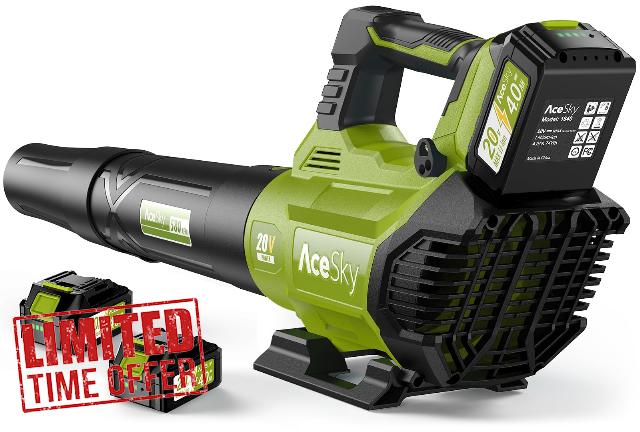 Leaf Blower Cordless - 580CFM/160MPH & 3 Speed Levels Electric Leaf Blower with 2 x 4.0Ah Battery and Charger