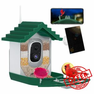 Bird Feeder with Camera