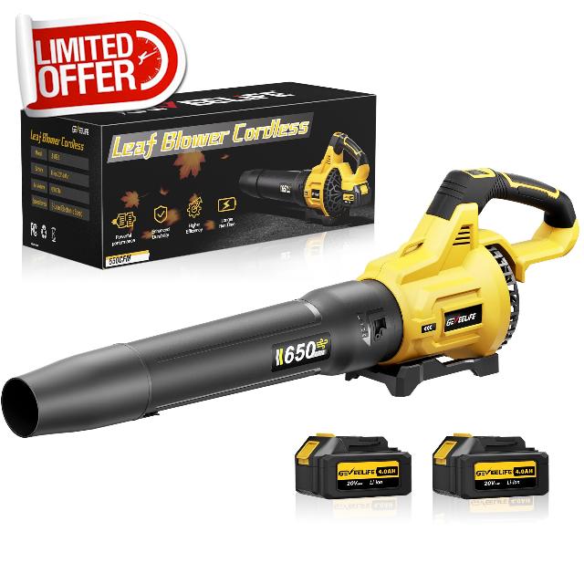 Leaf Blower Cordless