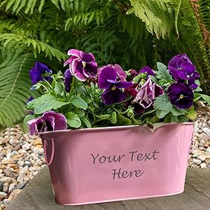 birthday gifts Outdoor Plant Pot clay pot herb pot succulent planter mother's day gift wedding