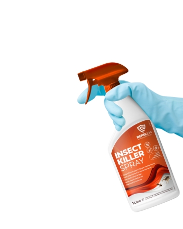 Kill insects