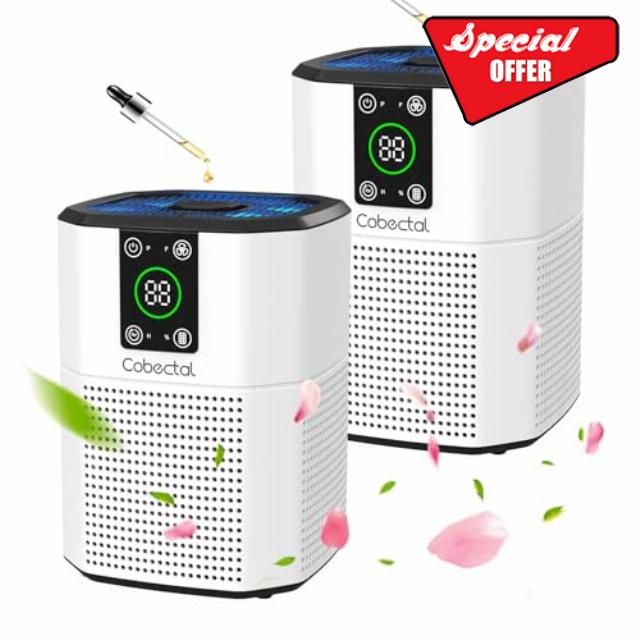2 Pack Air Purifier for Home Bedroom