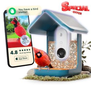 Bird Buddy Pro Solar Smart Bird Feeder with Camera - Ai Bird Species Identification