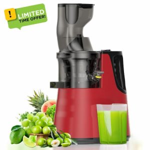 Cold Press Juicer Machine - Easy to Clean Slow Masticating Juicer for Vegetables and Fruits