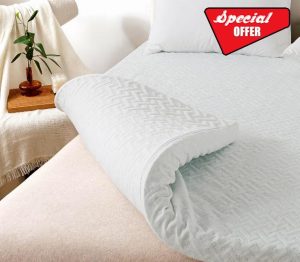 WhatsBedding 3 Inch Mattress Topper Queen Size