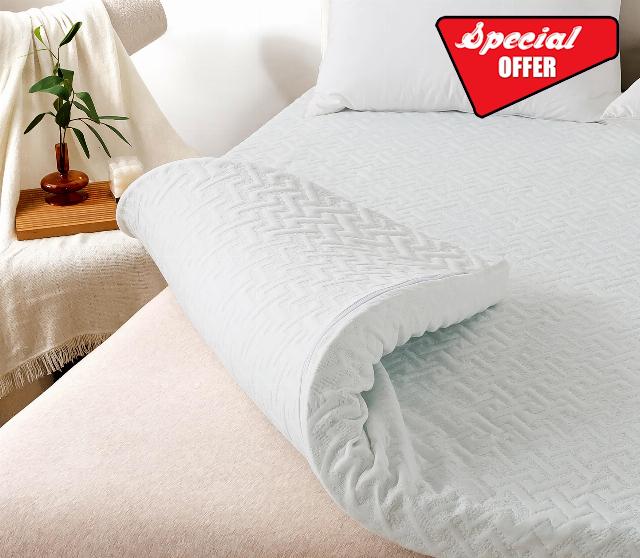 WhatsBedding 3 Inch Mattress Topper Queen Size
