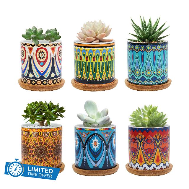 FORAGIFT 7.5CM Succulent Plant Pot