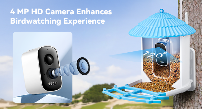 Smart Bird Feeder Camera