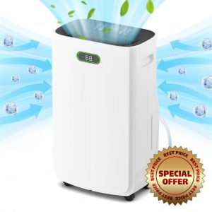 Dehumidifiers for Home
