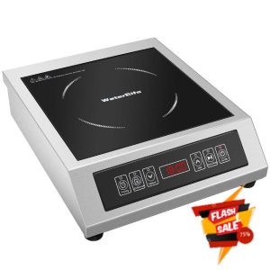 Professional Portable Induction Cooktop