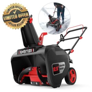 21-Inch Gas Snow Blower