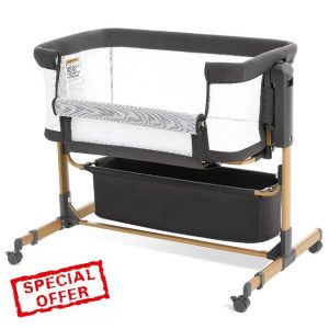 Baby Bassinet with Wheels